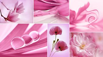 Collage de fleurs