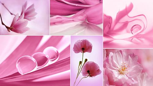 Blumen Collage von Violetta Honkisz