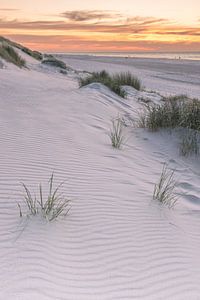Vlieland