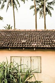 Tropischer Rückzugsort von Shot by Clint