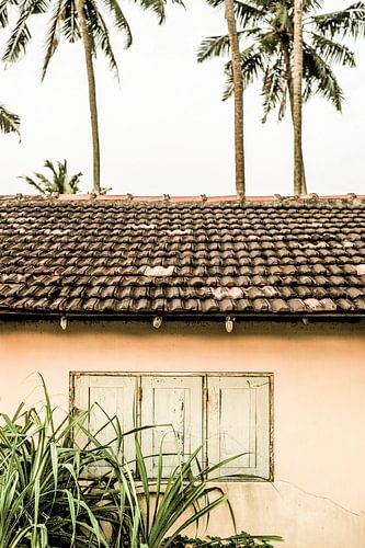 Tropisch toevluchtsoord