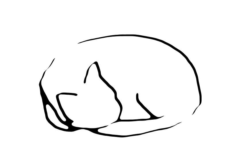 Sleeping cat - simple line drawing in black and white by Qeimoy