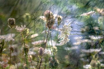 Wilde bloemen aan de waterkant.. van Eugene Winthagen