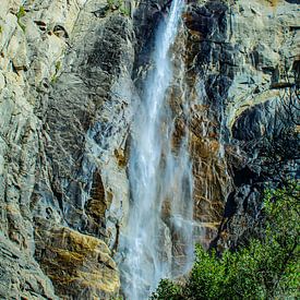 Yosemite watervallen van Barbara Riedel