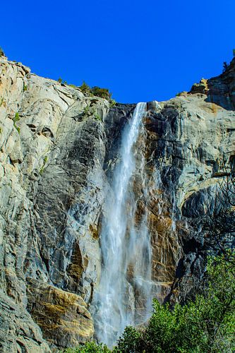Yosemite Falls von Barbara Riedel