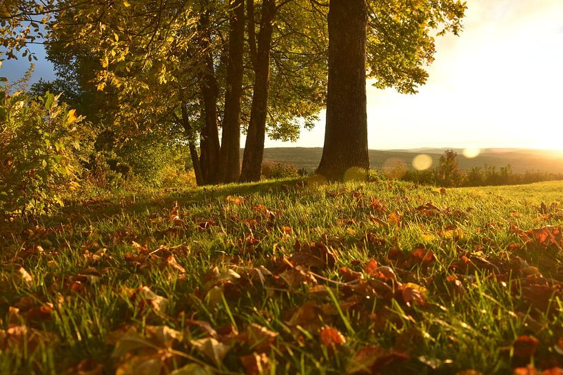 A sunrise on an autumn morning by Claude Laprise