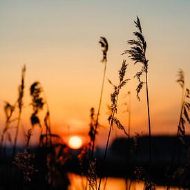 Zonsopgang in Südbrookmerland van Catrin Grabowski