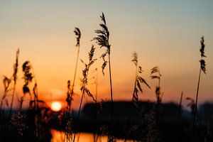 Sonnenaufgang im Südbrookmerland