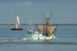 Bateau de pêche sur Geertjan Plooijer