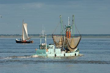 Fischerboot von Geertjan Plooijer