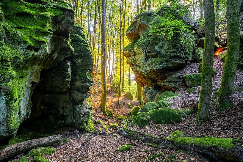 Felsenland in de Zuid-Eifel, Rijnland-Palts, Duitsland van Alexander Ludwig