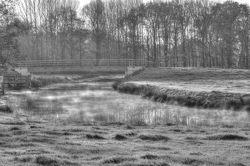 Mist in de morgen
