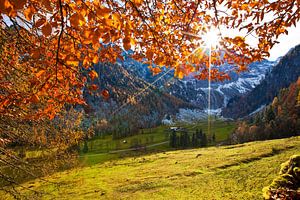 Herbststimmung in der Marbachalm von Christa Kramer