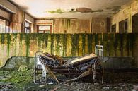 Broken Bed in Decay. by Roman Robroek thumbnail