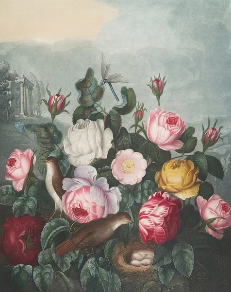 Roses, Robert John Thornton by Masterful Masters
