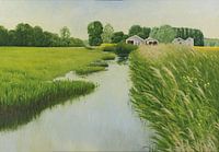 Regard sur les montagnes