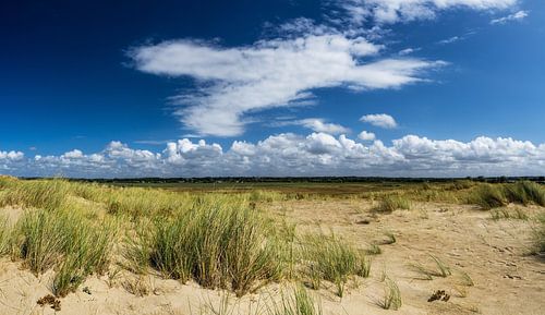 Dünenlandschaft von Saint-Martin de Bréhal in der Normandie | Frankreich von RB-Photography