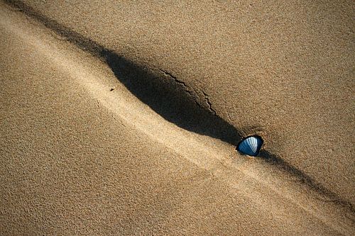 Geen partij voor de fiets