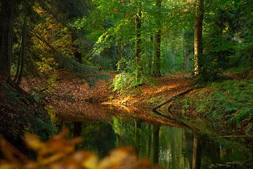 Herfst van P Kuipers