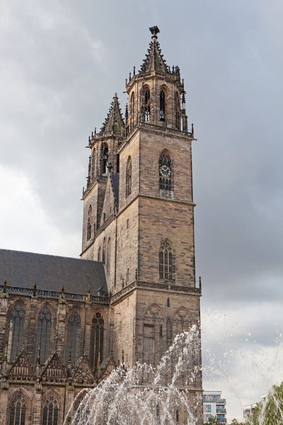 Magdeburger Dom von t.ART