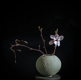 Lonely magnolia flower by Ellen Snoek