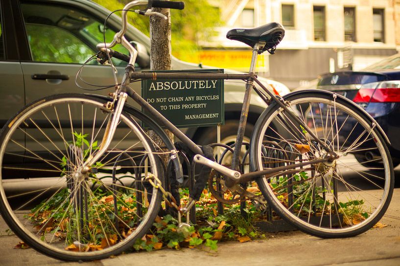 Bicycle in New York City by Marcel Kerdijk