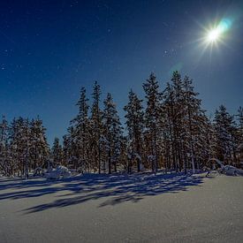 Fins Lapland in de winternacht van Nana Design