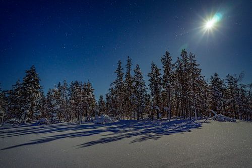 Finnish Lapland in the winter night