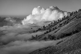 View of the clouds at the foot of Mount Rinjani by Shanti Hesse