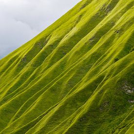 Bergstructuren van Globusgeflüster