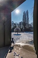 Winterlandschap gefotografeerd vanuit "het Huis" in Middelheimpark.