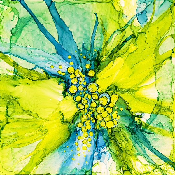 Charming by Agnieszka Zietek