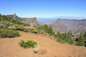 Vista Roque Nublo Gran Canaria