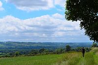 Walker in vast landscape of rolling green hills