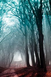 Speulderbos 17 by Deshamer