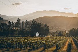 Vignobles, Franschhoek, Afrique du Sud sur Mark Wijsman
