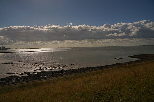 Westerschelde bij Borssele van Piet van Rijswijk