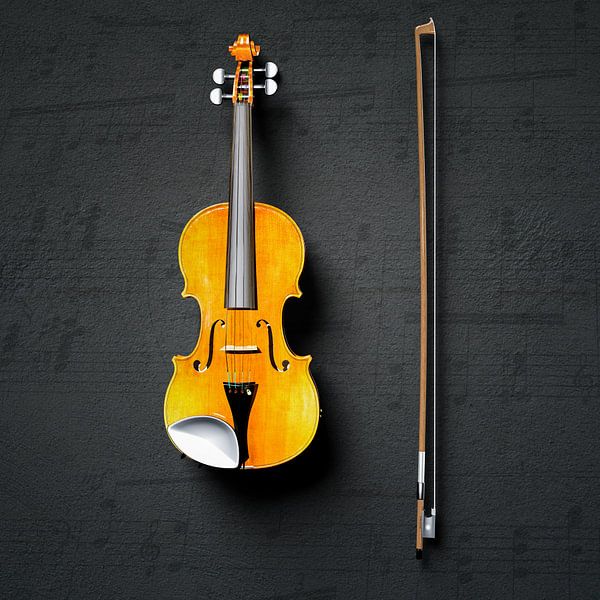 Still life violin