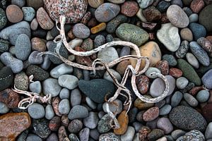 Strandgut