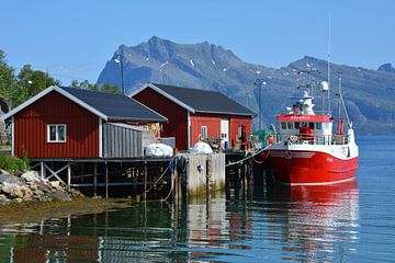 Bateau de pêche rouge dans un fjord en Norvège sur My Footprints