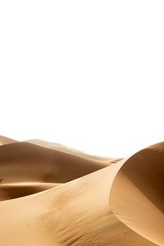 Sahara °12 by mirrorlessphotographer