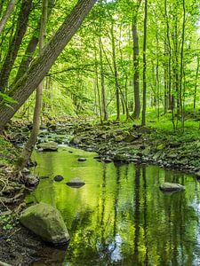 Frühling am Bach im grünen Laubwald V von Jörg B. Schubert