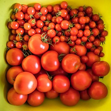 Red Tomatoes by Rob Boon