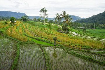 East Bali by Martijn Stoppels