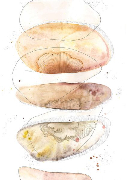 Abstract shells by Studio Skraps