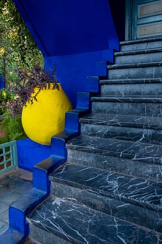 Majorelle garden Marrakech