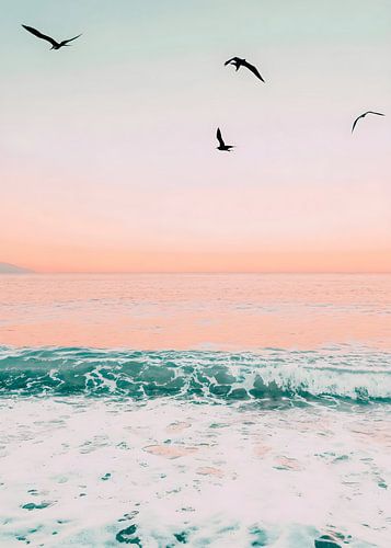 Pastel Sunset Beach and Flying Seagulls Photography