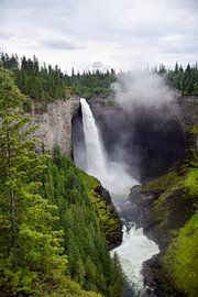 Helmcken Falls by Manon Verijdt