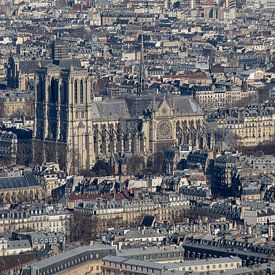Notre-Dame, Paris by Michaelangelo Pix