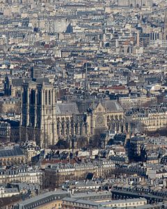 Notre-Dame de Paris von Michaelangelo Pix